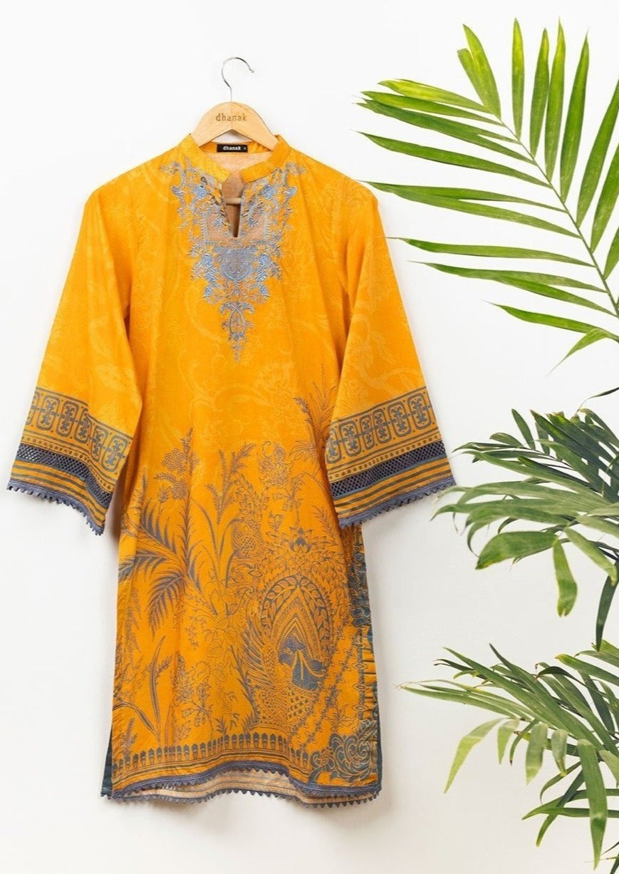 Orange : Embroidered Kurta (Shirt only)